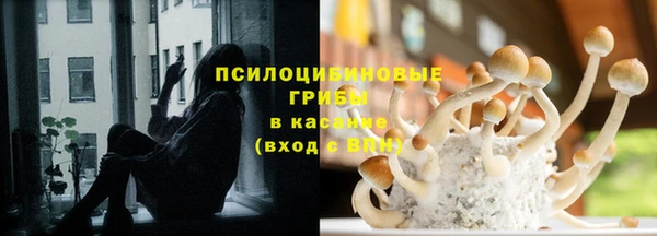 прущая мука Верхний Тагил