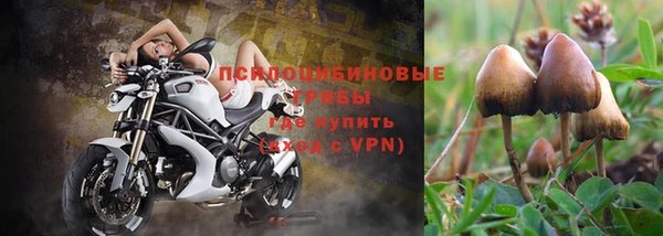 прущая мука Верхний Тагил