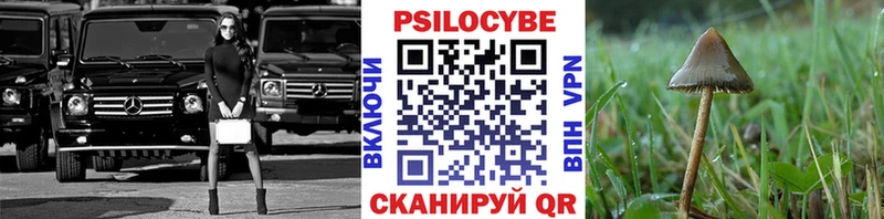 закладка  Калининград  Псилоцибиновые грибы ЛСД 